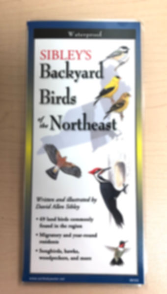 Sibley's Backyard Birds of Northeast Folding Guide