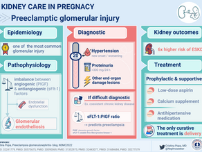 Preeclampsia - the story of the underestimated glomerular injury