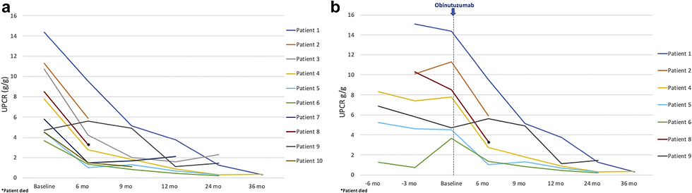 Proteinuria outcomes in rituximab experienced membranous nephropathy after obinutuzumab