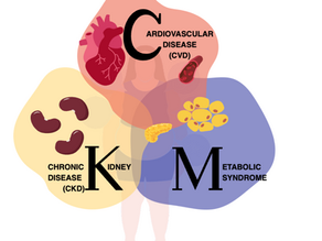 CKM Syndrome: Finally recognizing the connection between the heart, kidney & metabolic syndrome
