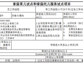 家庭育儿试点项目