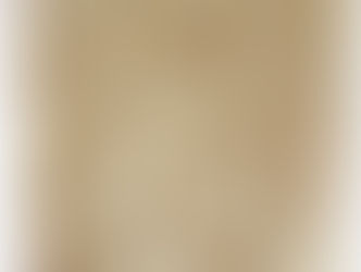 The Cicada Buckthorn Quilt - the making of