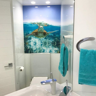Polished mirror and beautiful turtle ima