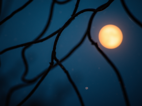 Fiddleswerth's Moonlight Adventures: The Star-Catching Contest