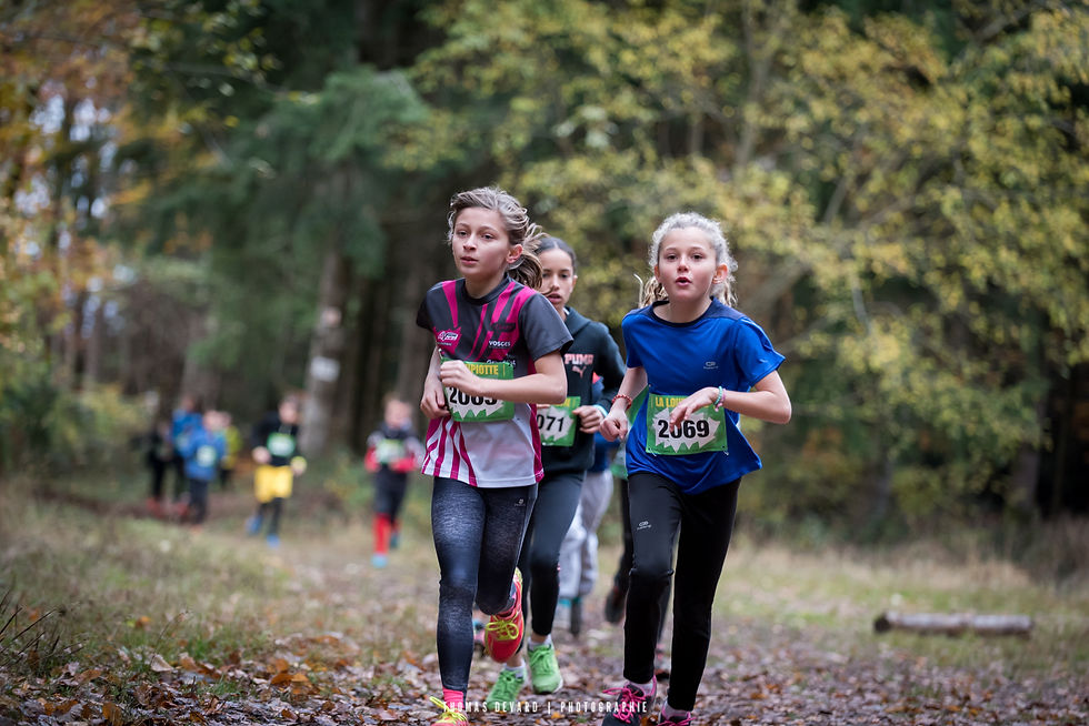 Trail-des-brosses-©-Thomas-Devard-15