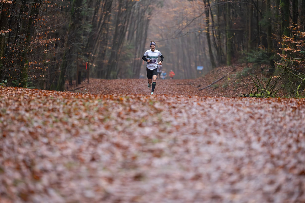 TDB-dimanche20251109-16208.jpg