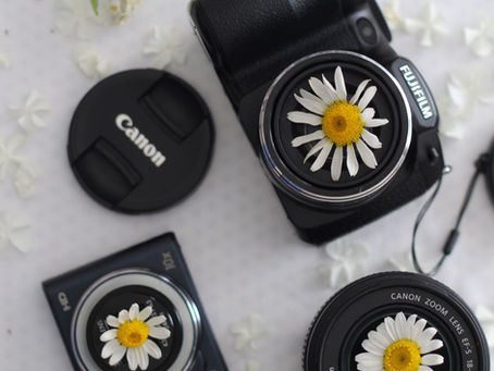Photography as a Practice of Well-Being: Finding Beauty, Presence, and Meaning Through the Lens