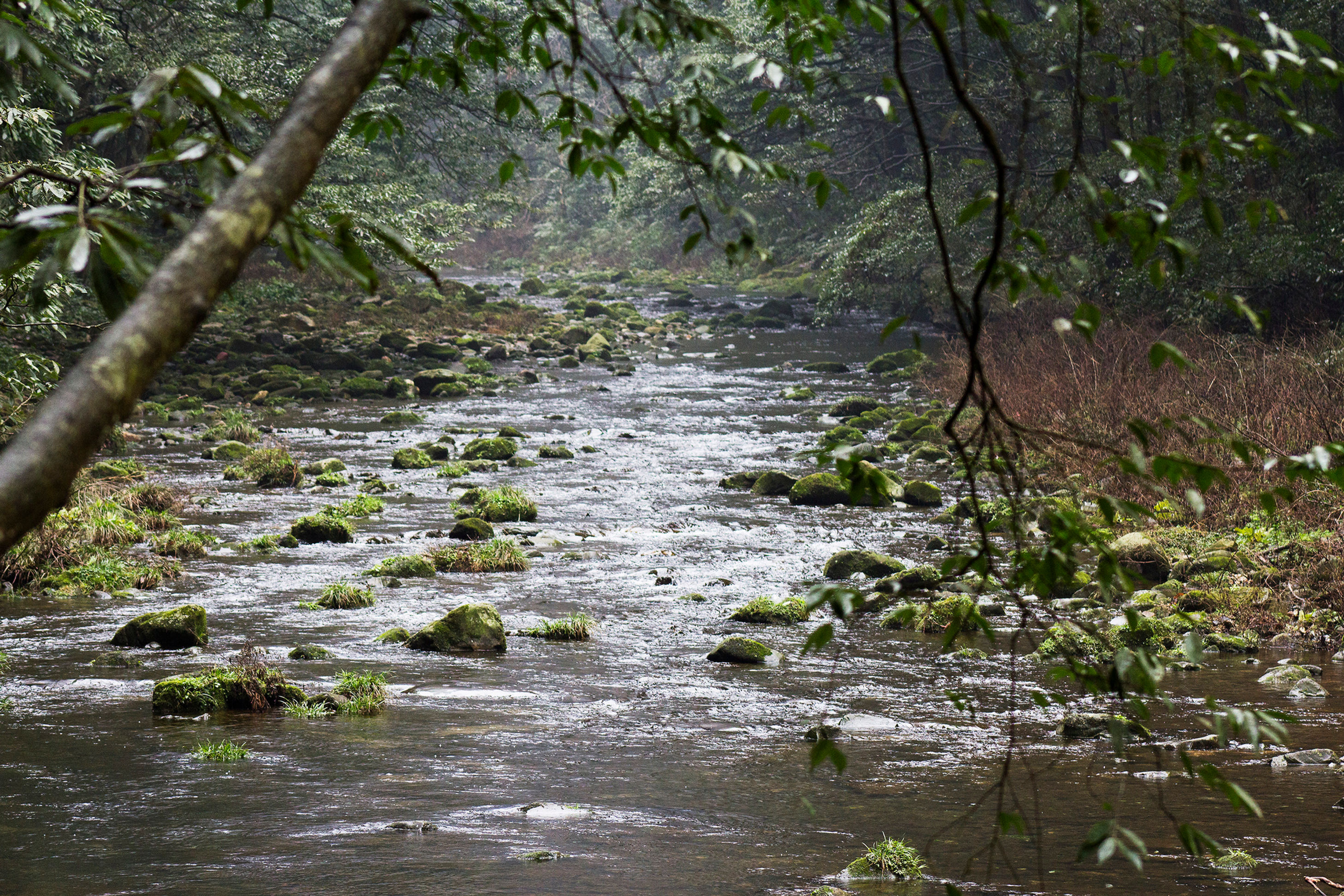 Stream in Zhangjiajie