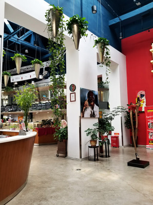 Zotter Chocolate Factory_ Entry