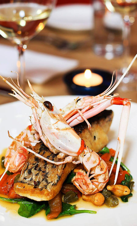 barramundi.jpg