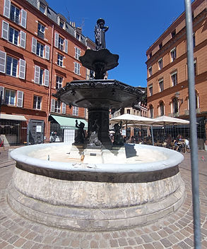 Toulouse rose 5.jpg