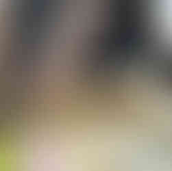 Marlow le furet endormi par les caresses