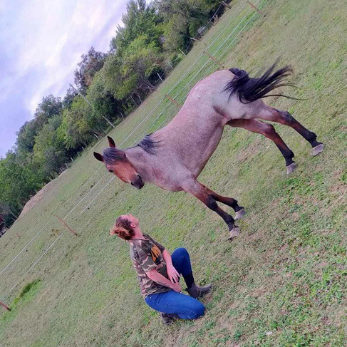 Diva prend la pose avec une de nos bénévoles