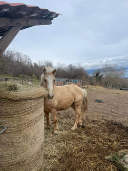 received_5908344029255897