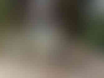 début atelier petit groom avec un groupe d'enfant