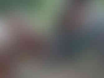 les mamours entre Tao et Diva