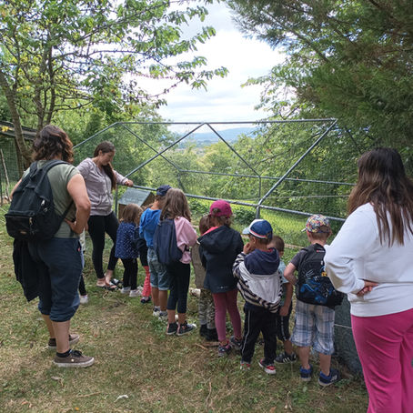 L'élément air et un centre de loisir
