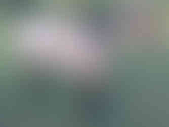 cheval de robe rouan, Diva vu de cÎté à son arrivée