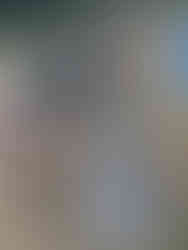 touchée la patte en étant attaché