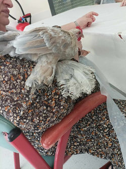 received_1527798341092678