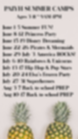 Summer Camp Schedule.PNG