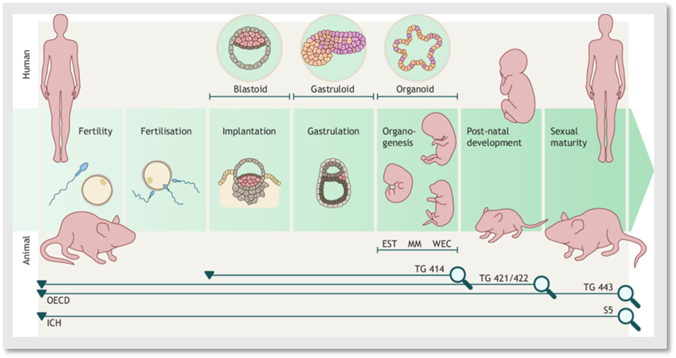 위해관리연구소