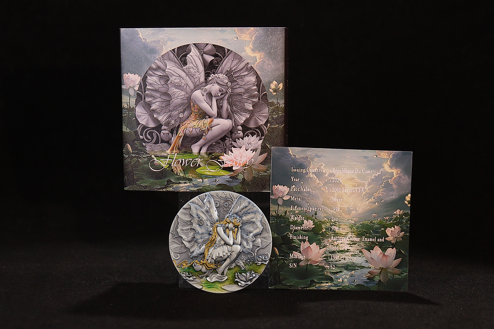 Thumbnail: FAIRY IN MAGICLAND (FAIRY SERIES) 2oz Silver Coin 2000 Francs Cameroun 2025