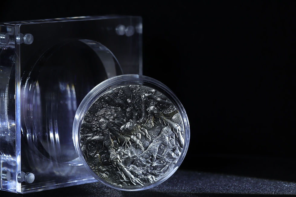 Thumbnail: 2025 CAMEROONIAN TARANTULA FRANC - Silver 2oz Pure