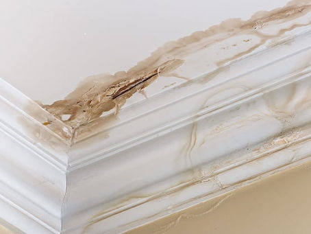 Just A Ceiling Stain Or Worse?