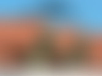 Older Homes in Florida