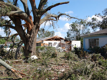 What is a Claims Adjuster?