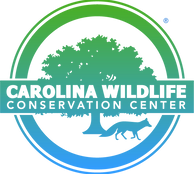 CWCC-LOGO-02-(RTM)_edited.png