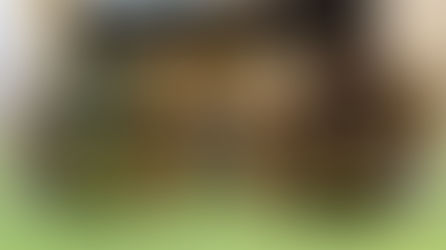 חברת "אחוה" משיקה חלוה פרמיום בסגנון דובאי במהדורה מוגבלת - חלוה פינוקים חלוה בטעם שוקולד וחלוה בטעם וניל, עשויות בעבודת יד, עם מלית פיסטוק עשירה ושברי פיסטוק בכמות נדיבה, הגרסה הקרובה ביותר לחלוה בסגנון דובאי