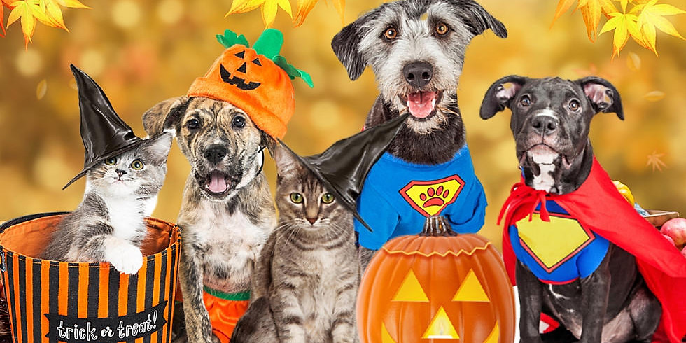 Howl O Ween Dog Costume Contest