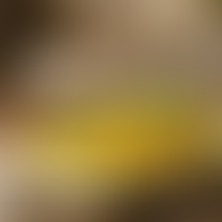 Món Gà Hấp Hành - Hòa Quyện Gia Vị và Thảo Mộc Tinh Tế