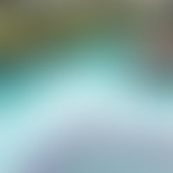 Phân Biệt Các Loại Bể Bơi Phổ Biến Nhất Hiện Nay: Ưu – Nhược Điểm Là Gì?