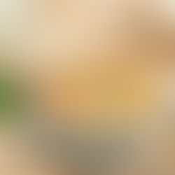 Hướng dẫn nấu canh chua hàu theo phong cách riêng