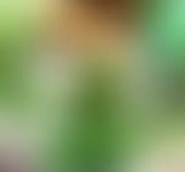 Xông Hơi Thải Độc Sau Tập Luyện: Cách Hỗ Trợ Cơ Thể Phục Hồi Tối Ưu