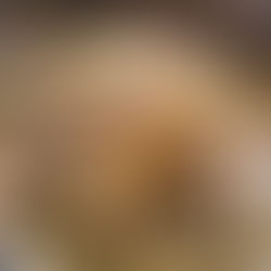 Các loại lá và gia vị được sử dụng trong lẩu gà lá giang