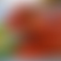 Cách Làm Tôm Hấp Bia Nhanh Gọn, Tiết Kiệm Thời Gian