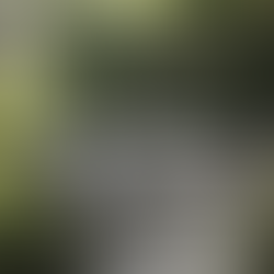 Những lưu ý khi thiết kế vườn nhiệt đới trên sân thượng