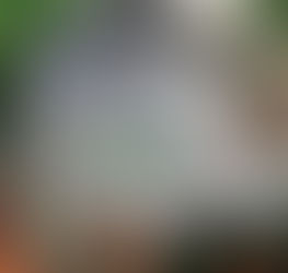 Canh Chua Cá Lăng – Món Ăn Bổ Dưỡng, Thanh Mát Cho Cả Nhà