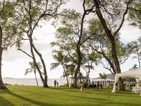 Wedding Planning 101: How to Plan Your Wedding Step by Step