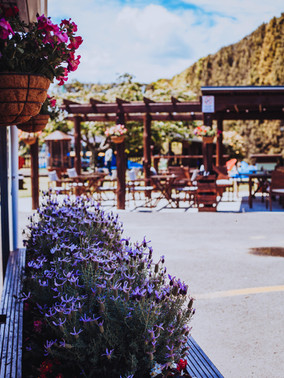 Blueberry Corner Nov 2019-3145.jpg