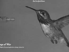 Feature in New York Times!