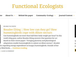 'Behind the Paper' feature in Functional Ecologists