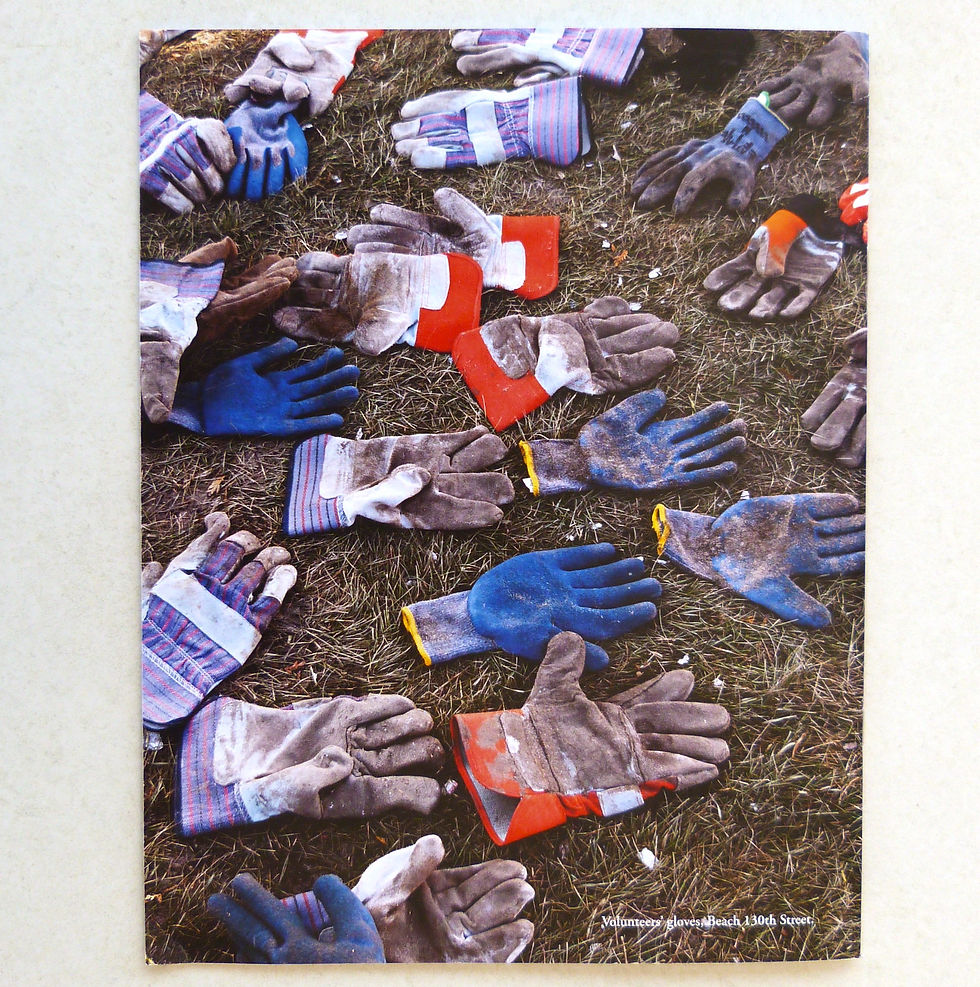 Product: "Larry's Sandy Diary" - Larry Racioppo