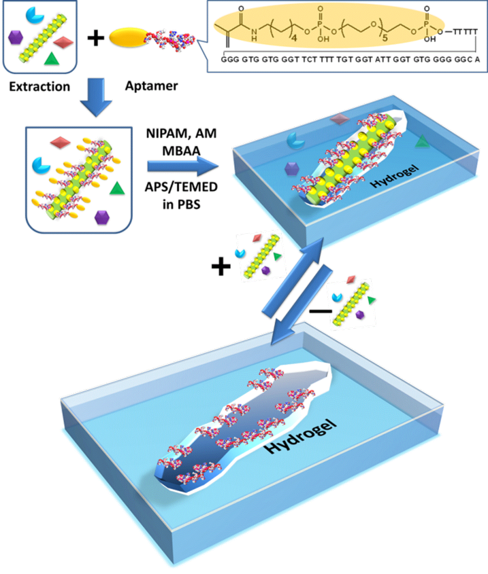Double-Imprinted Diffraction Grating Sensor Using a Virus Responsive Super-Aptamer Hydrogel Derived