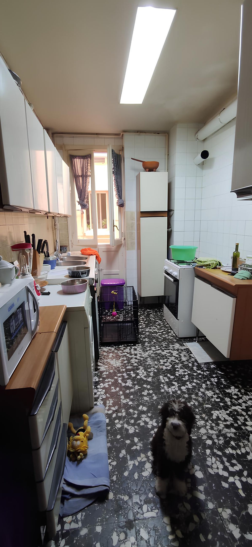 ANTES -Casa Guardamur