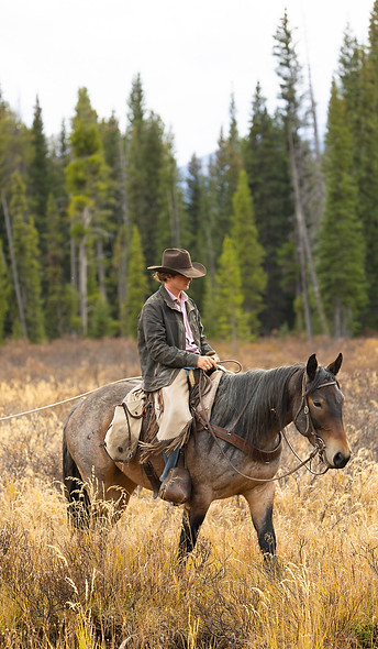 Cadillac (2022 Draft Cross Mare)-50.jpg